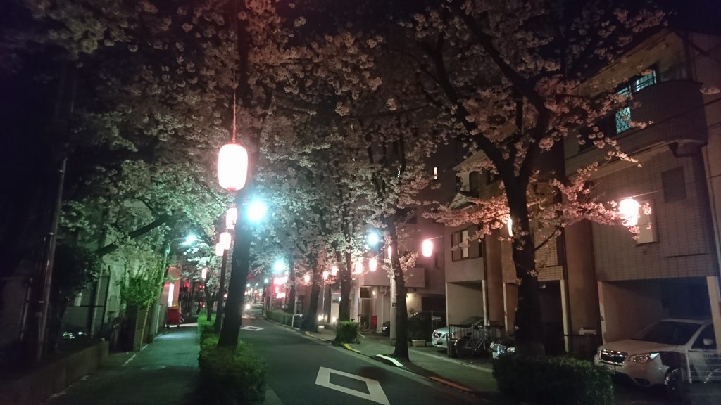 立会道路の夜桜